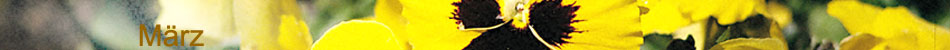 Head